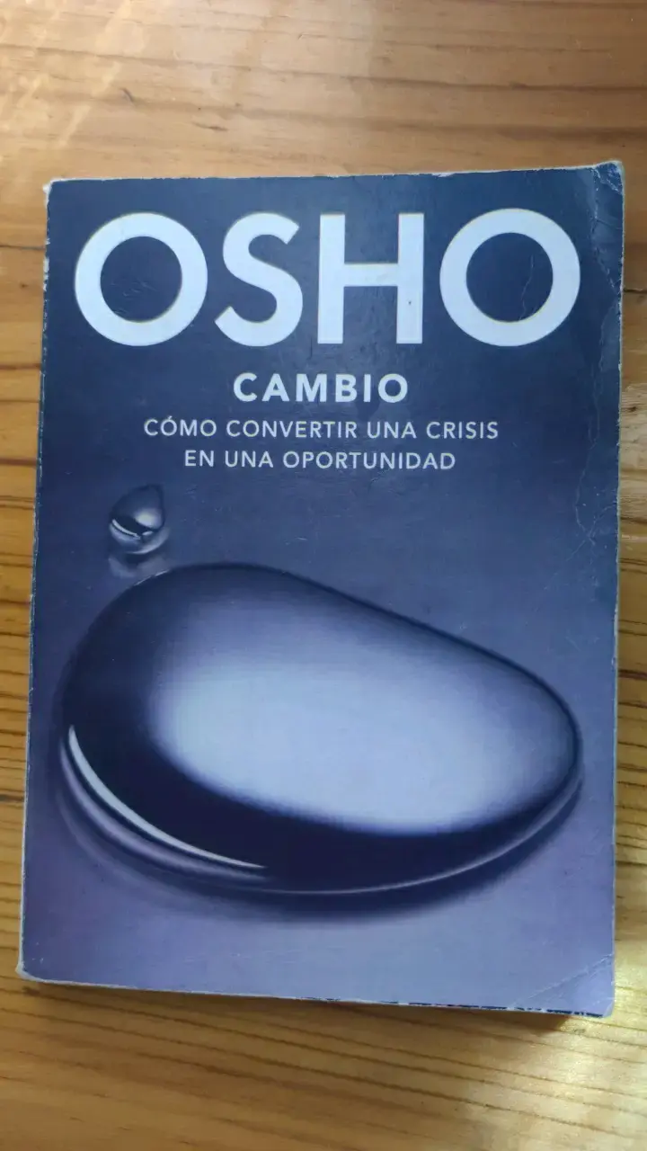 Lote de libros variados: Woolrich, Verne, Osho y Papelucho - 3