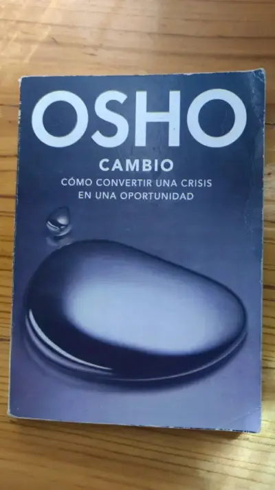 Lote de libros variados: Woolrich, Verne, Osho y Papelucho - miniatura 3