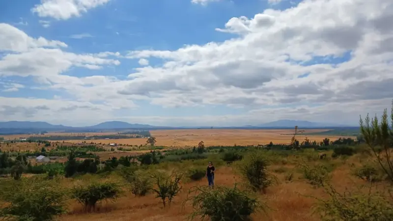 Chillán | Terreno 5.000 m2 Camino a San Nicolás - 3
