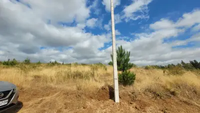 Chillán | Terreno 5.000 m2 Camino a San Nicolás - miniatura 4