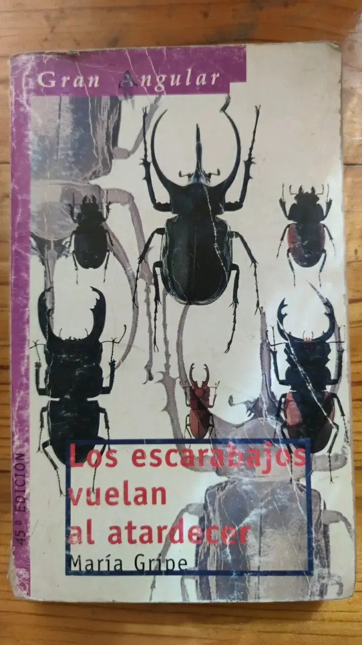 Libro 'Los escarabajos vuelan al atardecer' de María Gripe