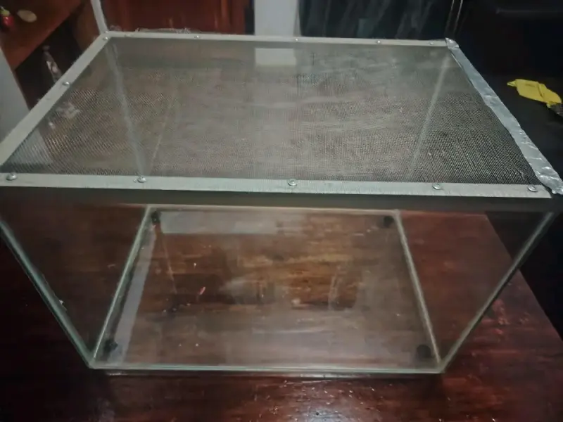 Terrario de vidrio con tapa de malla metálica - 2