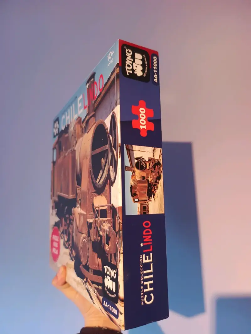 Puzzle Chile Lindo 1000 Piezas Toyng - 2