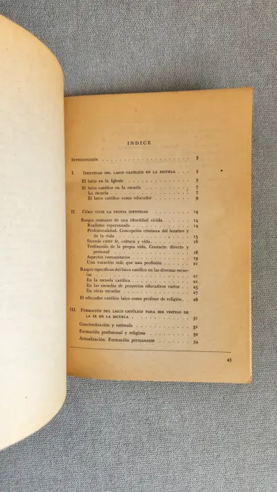 El Laico Católico testigo de la Fe en la Escuela - miniatura 4