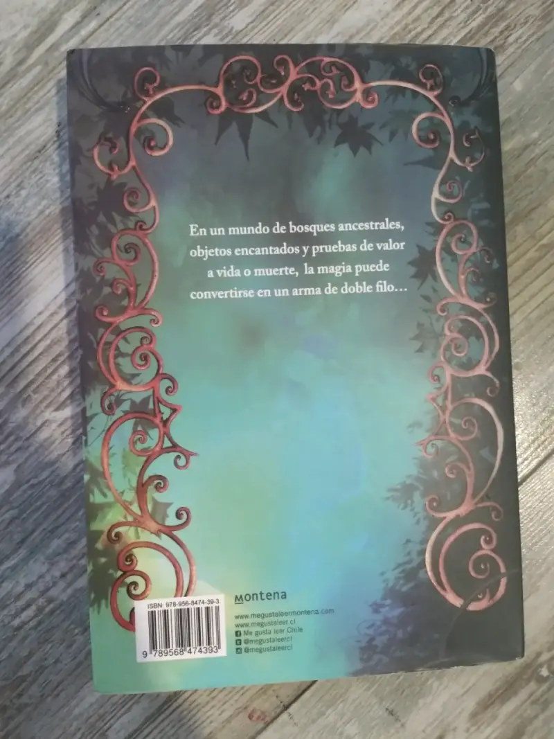Libro 'Todas las Hadas del Reino' de Laura Gallego - 2