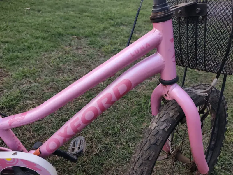 Bicicleta infantil rosa Oxford con canasto - 2