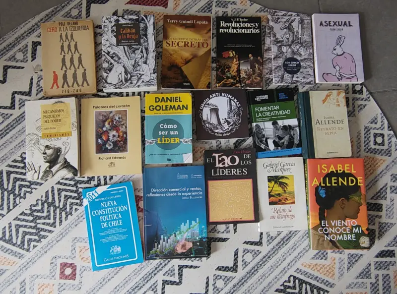Lote de libros variados en buen estado - 1