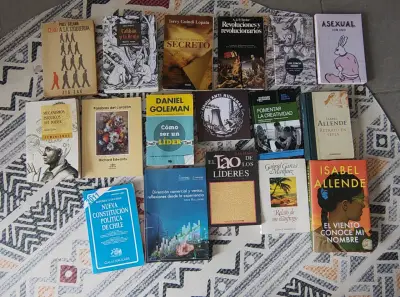 Lote de libros variados en buen estado - miniatura 1