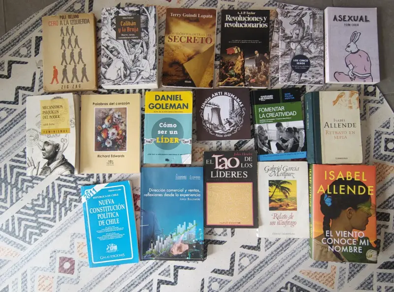 Lote de libros variados en buen estado - 2