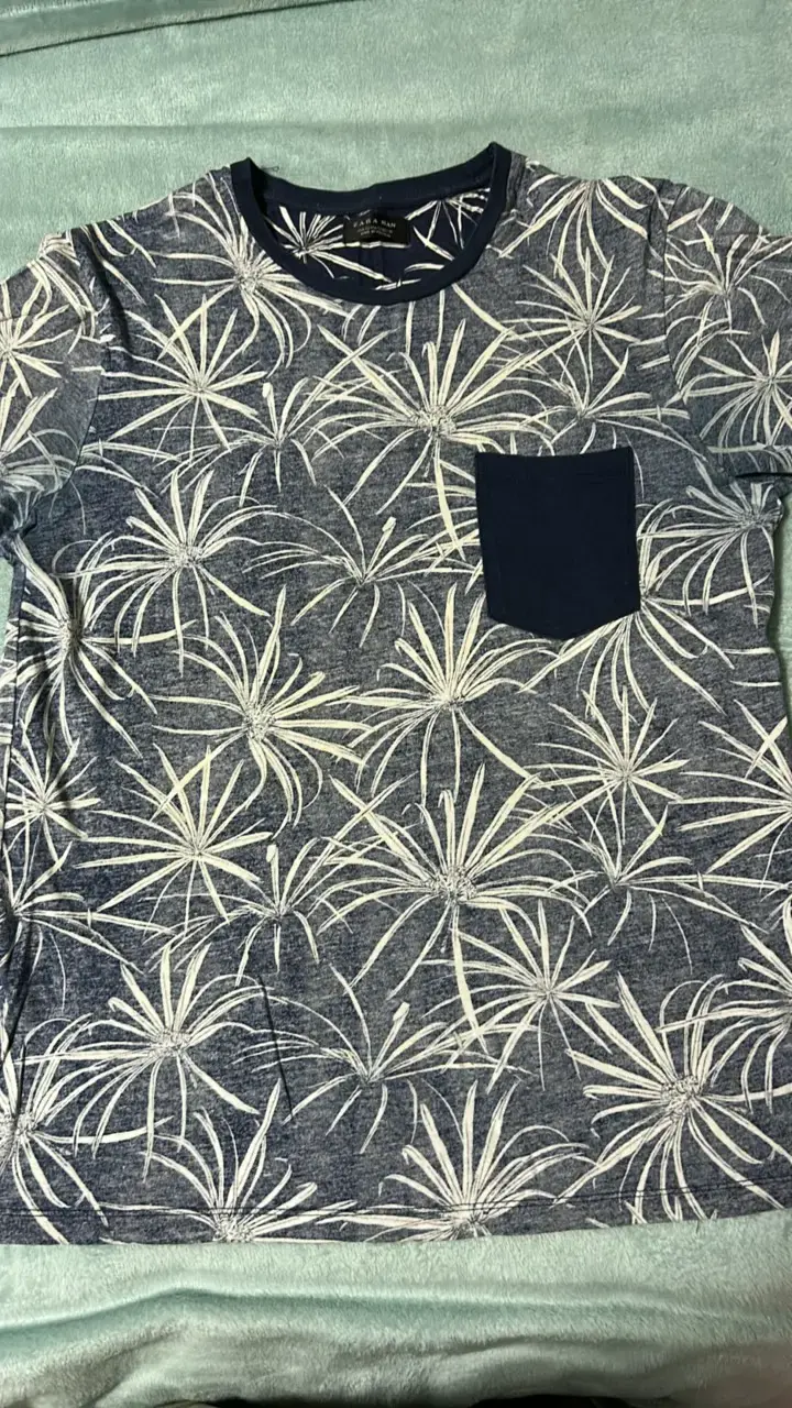 Polera estampada azul Zara Man - 1
