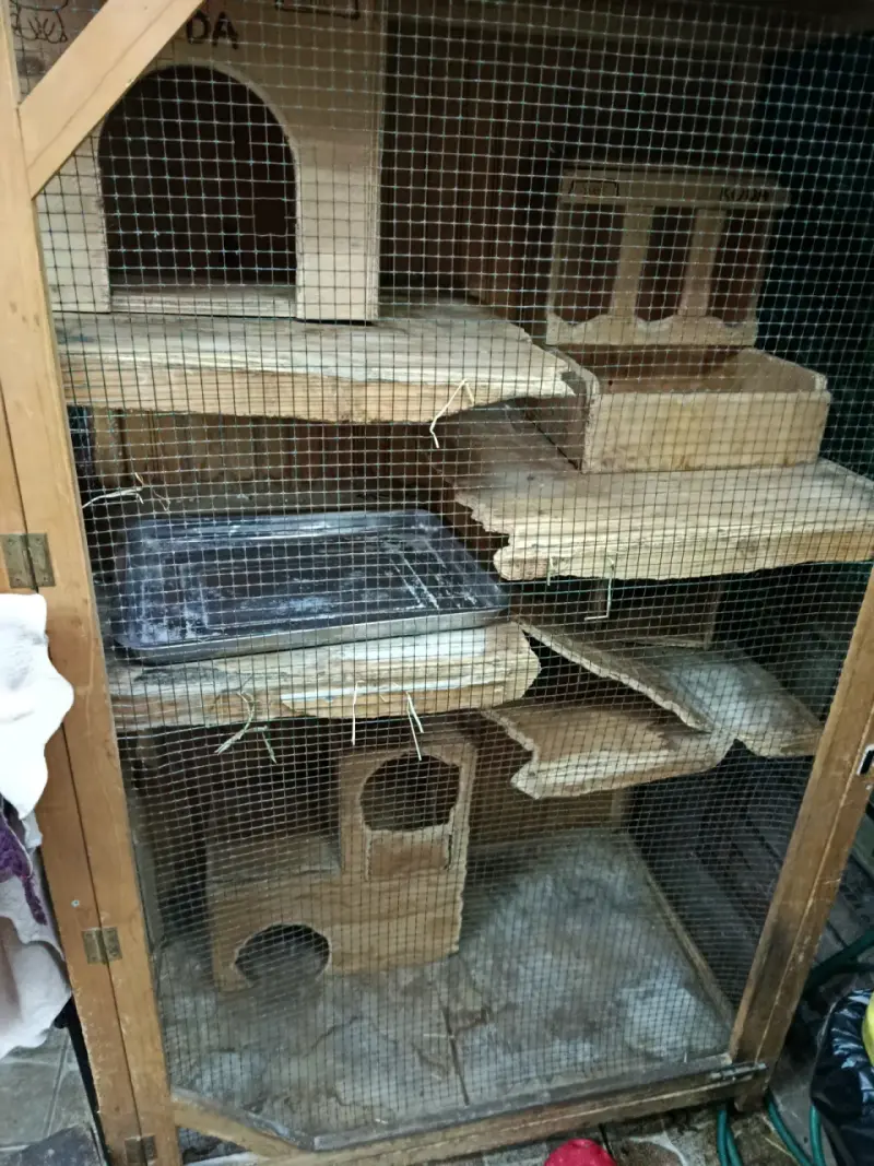 Jaula grande de madera para animales - 2