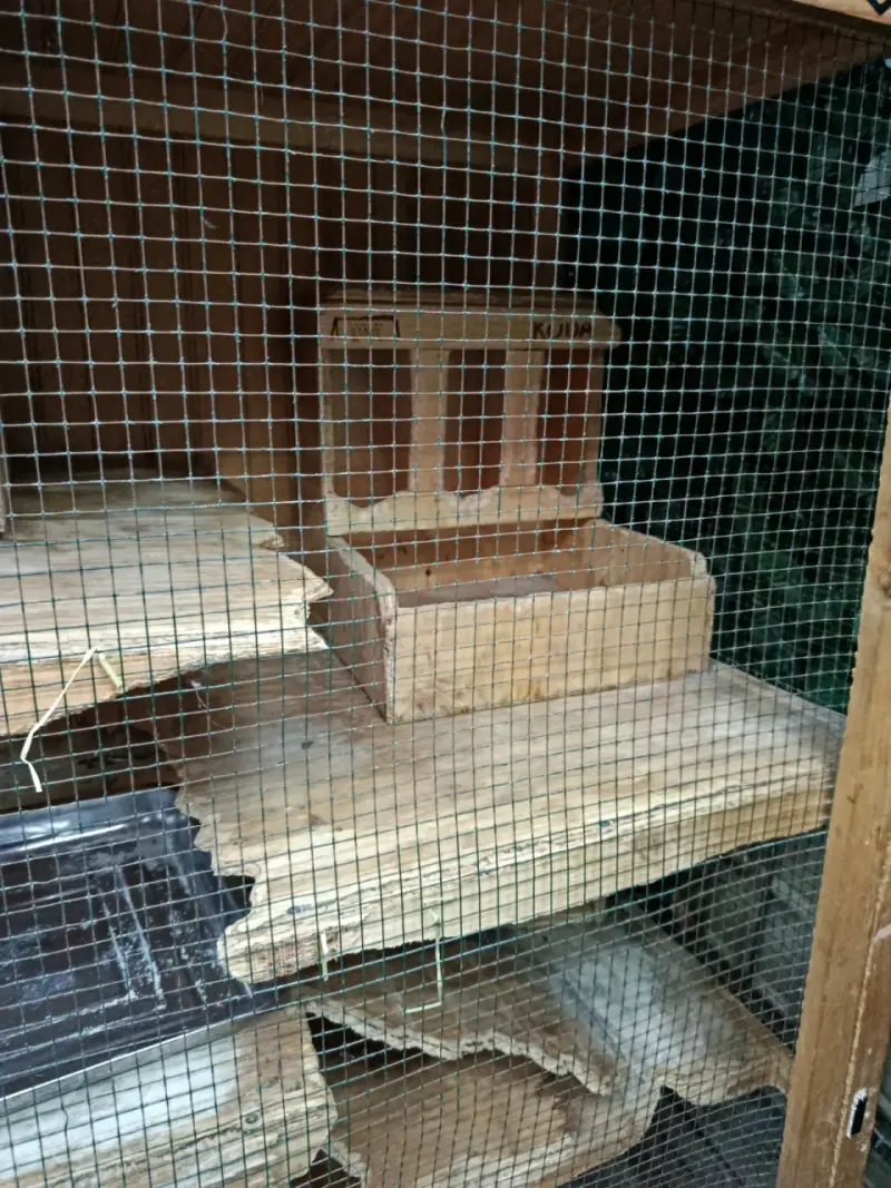 Jaula grande de madera para animales - 5