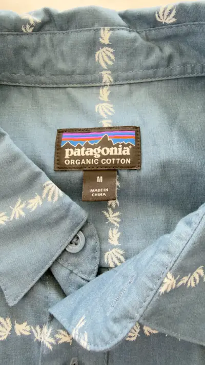 Camisa Patagonia de algodón orgánico azul - miniatura 2