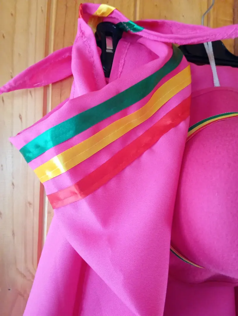Traje típico chileno para Niña en color rosa - 2
