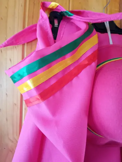 Traje típico chileno para Niña en color rosa - miniatura 2