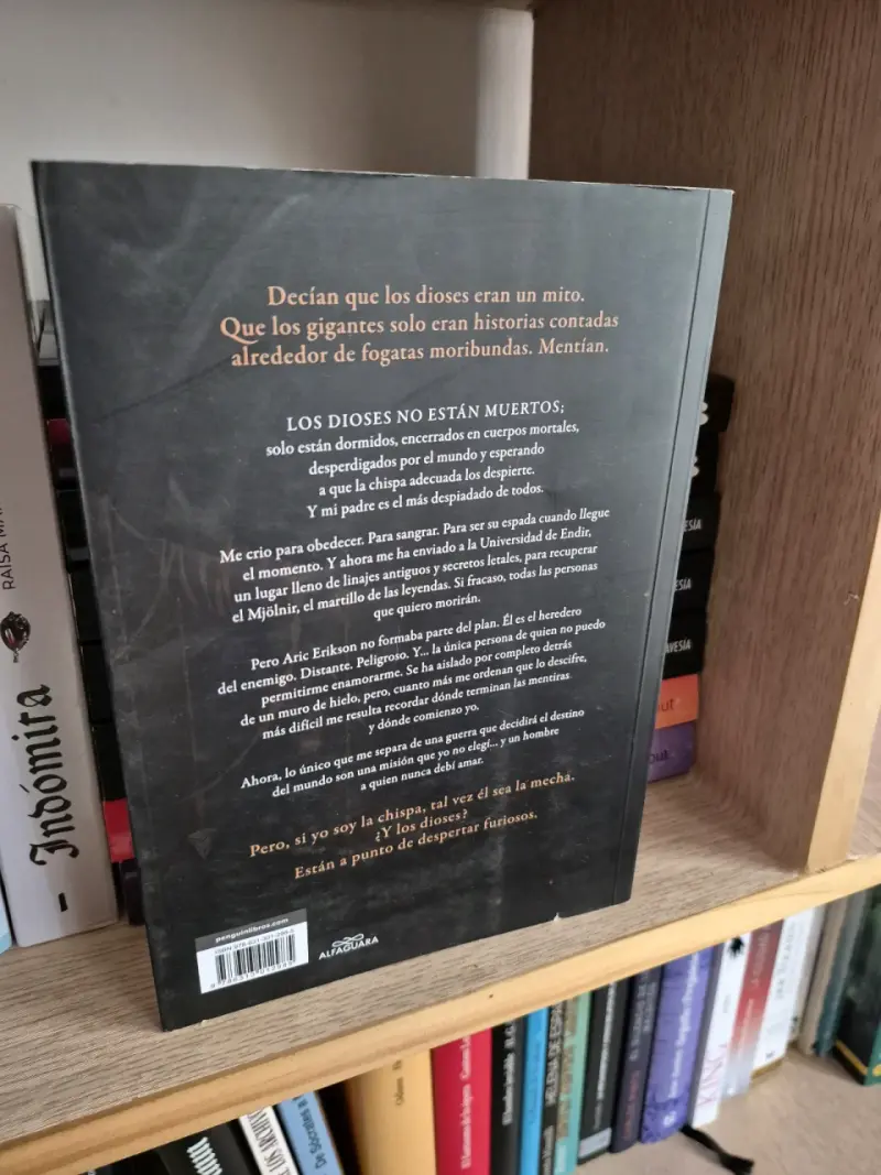 Libro Fallen Gods de Rachel Van Dyken - 2