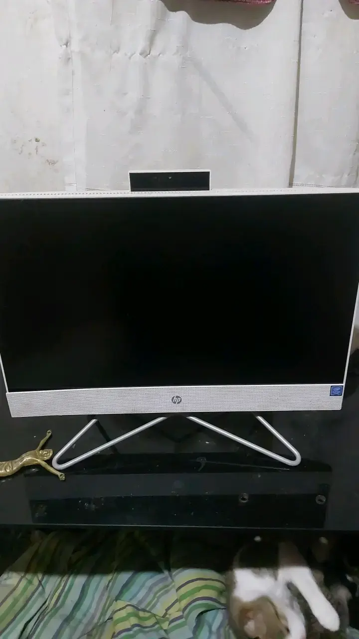 Monitor HP All-in-One con soporte moderno - 2