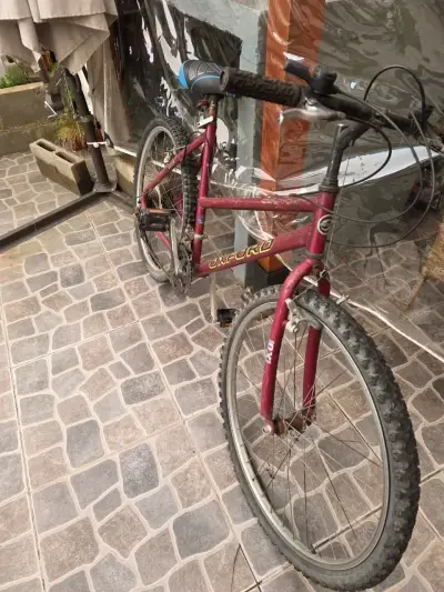 Bicicleta Oxford de Montaña Roja - miniatura 1