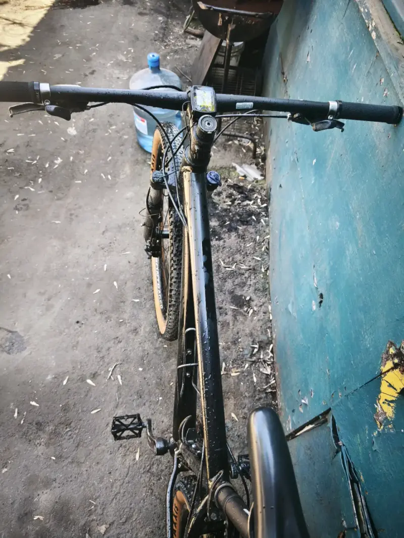 Bicicleta de montaña con neumáticos Maxxis - 5