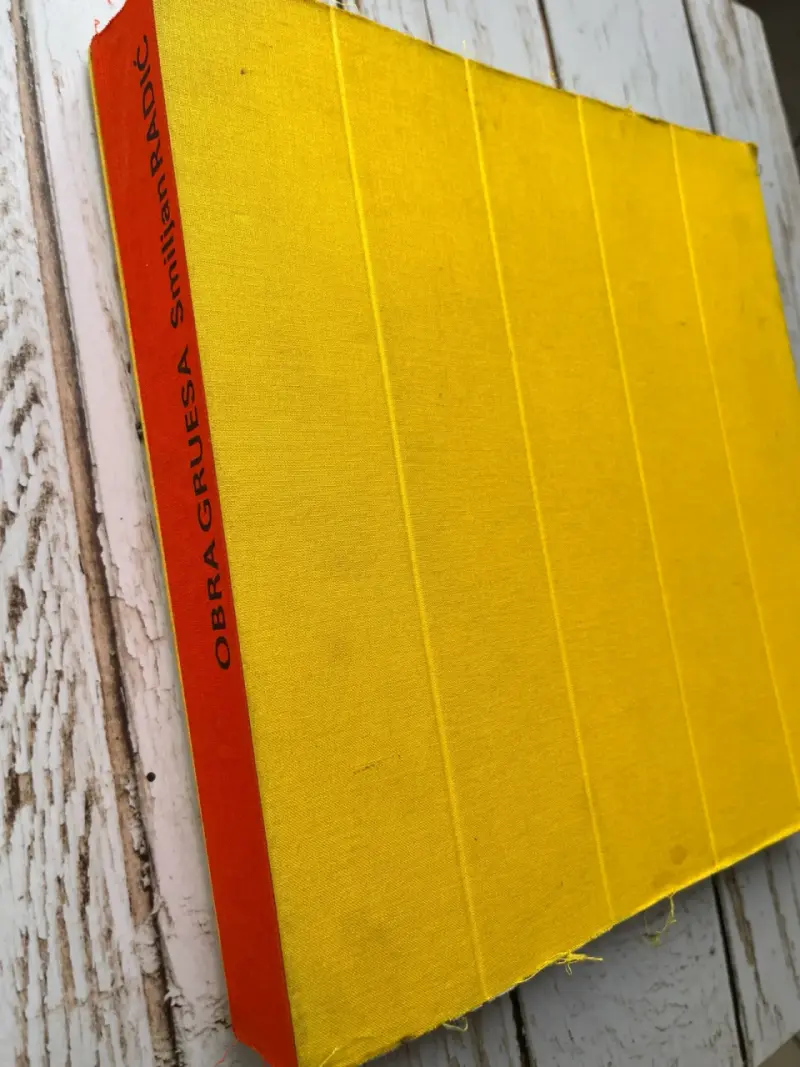 Libro Obra Gruesa arquitectura de Smiljan Radic - 1