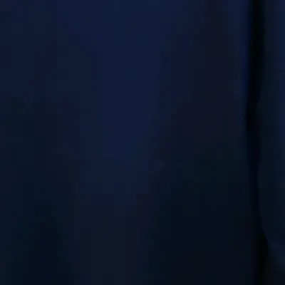 Polera Tommy Hilfiger Denim manga larga azul - miniatura 5