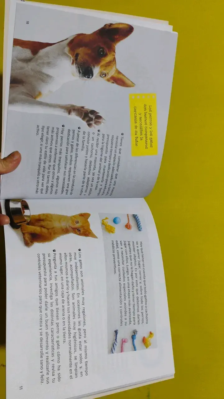 Libro educativo 'Yo cuido a mi mascota' para niños - 5