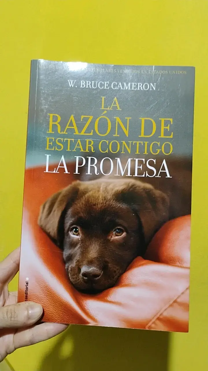 Libro 'La Razón de Estar Contigo: La Promesa' - 1