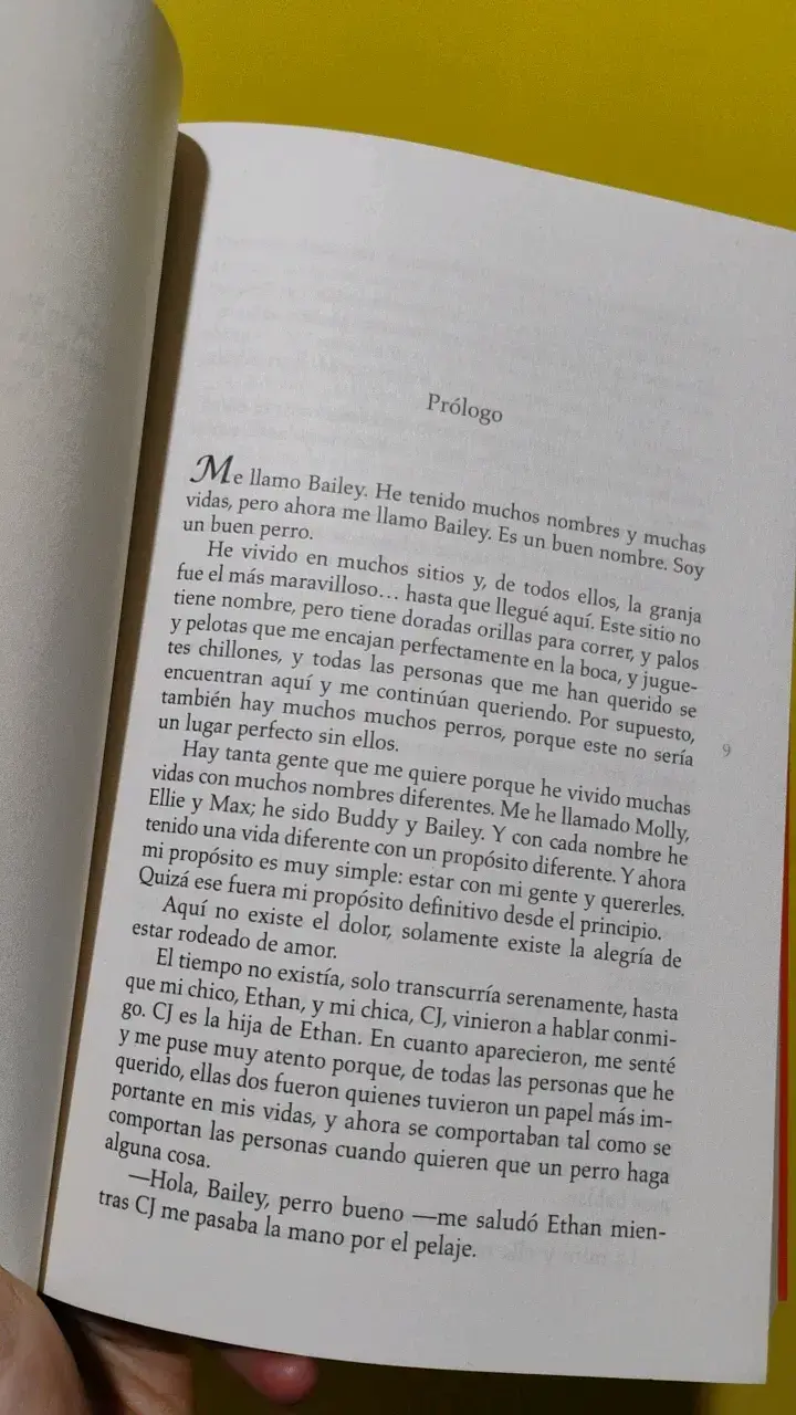 Libro 'La Razón de Estar Contigo: La Promesa' - 3