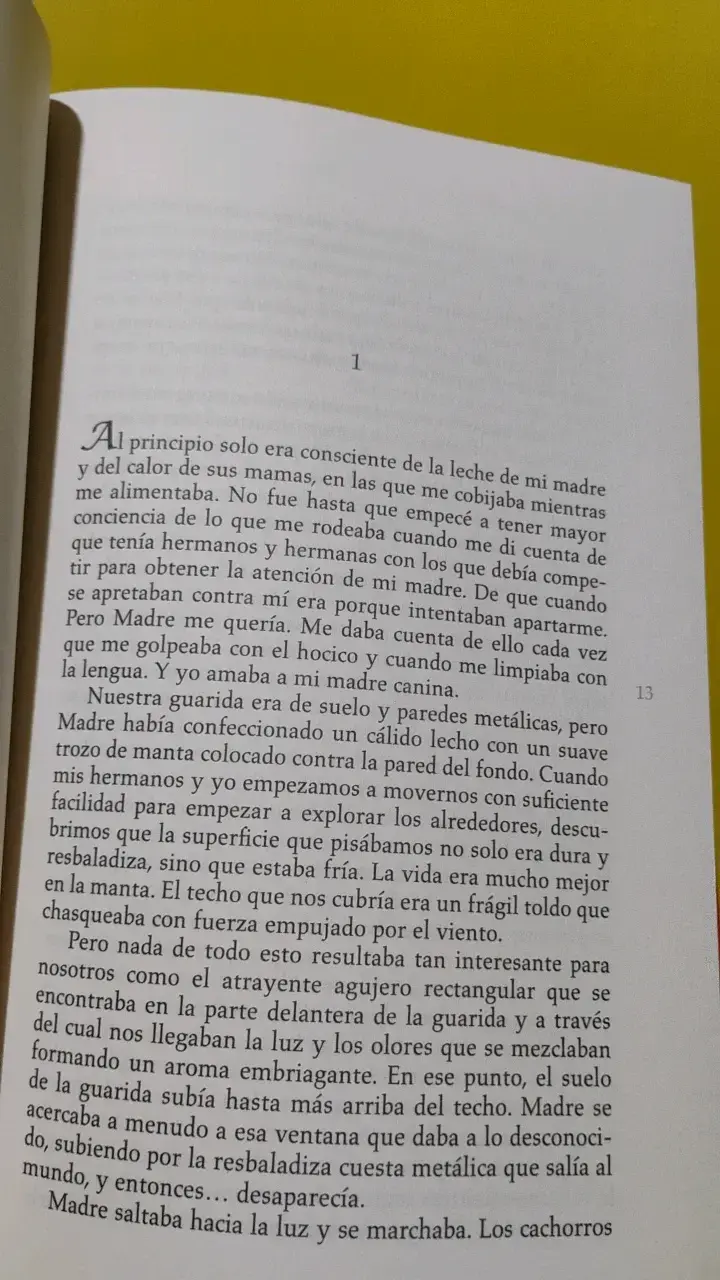 Libro 'La Razón de Estar Contigo: La Promesa' - 4
