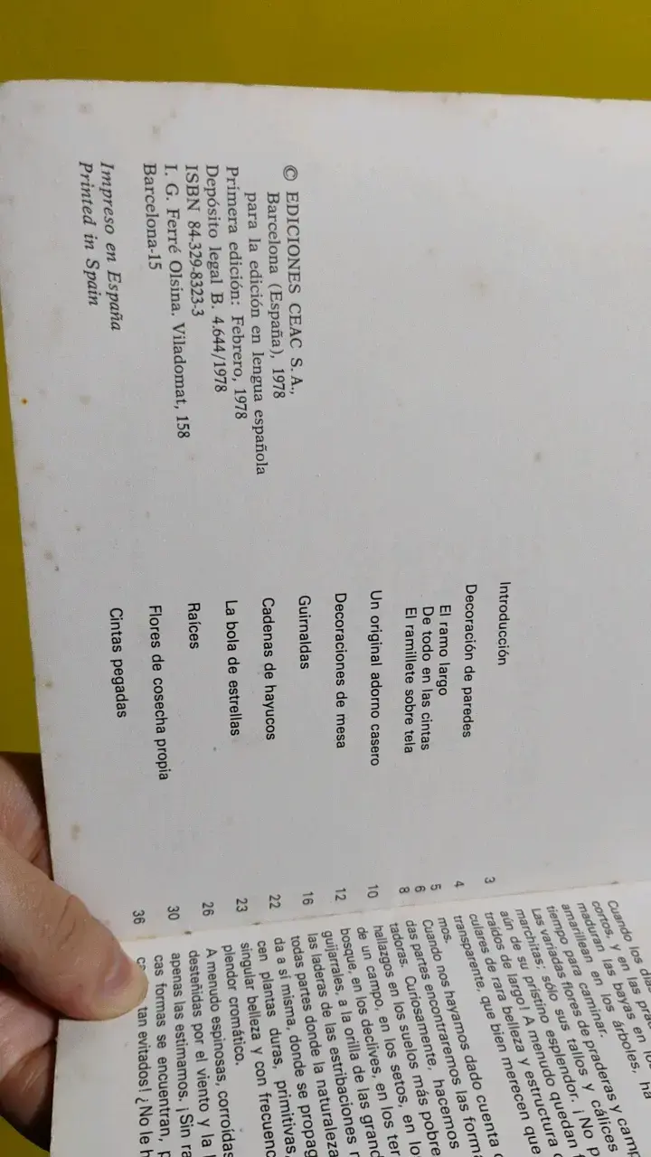Libro 'Decoremos con Plantas y Flores Secas' de E. - 3