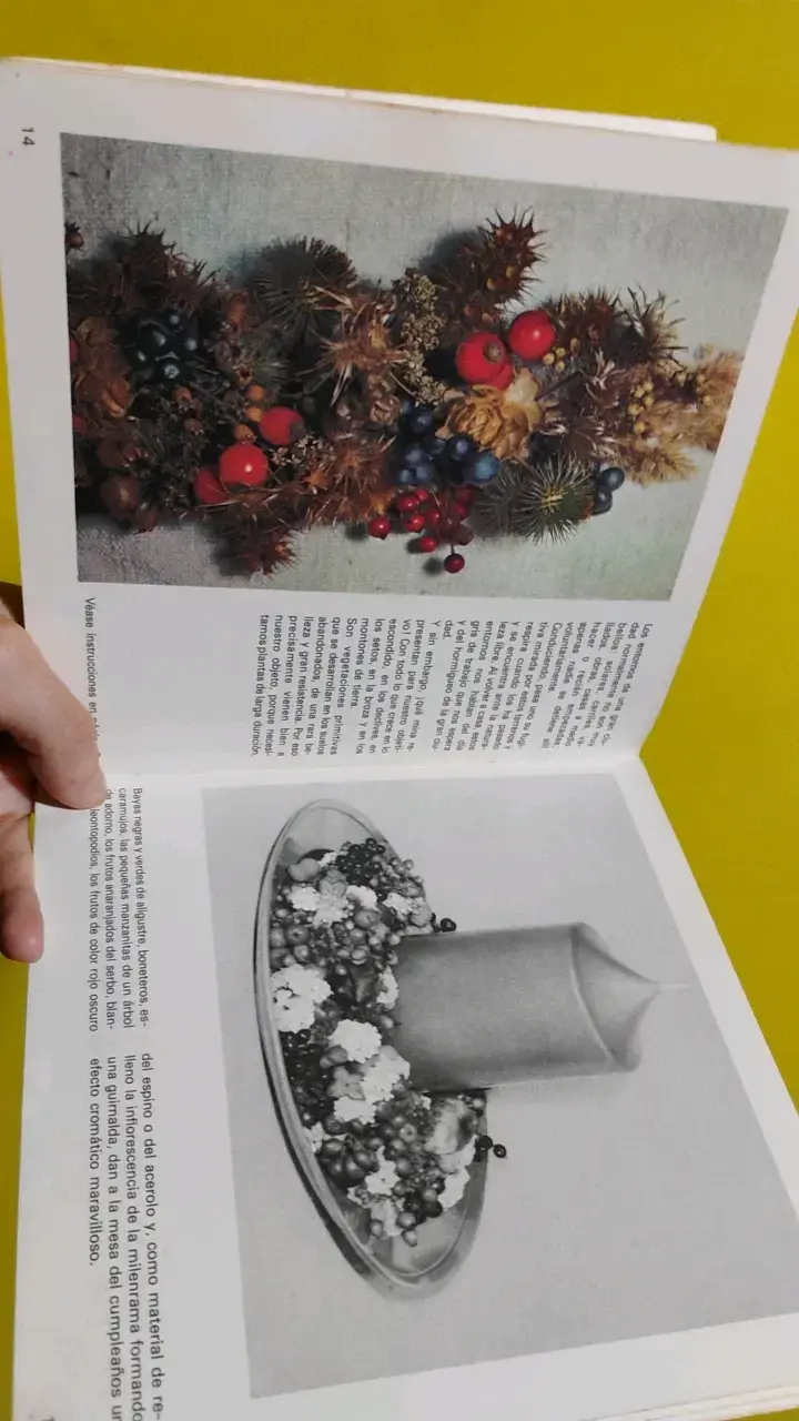 Libro 'Decoremos con Plantas y Flores Secas' de E. - 4