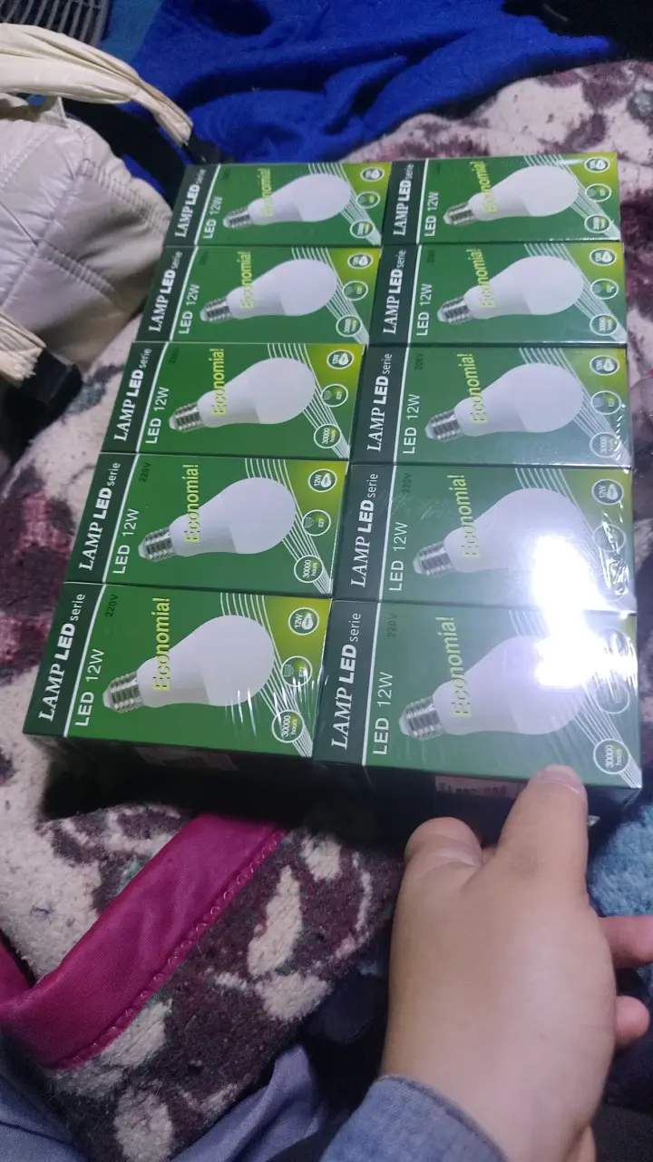 Pack de 10 ampolletas LED 12W económicas