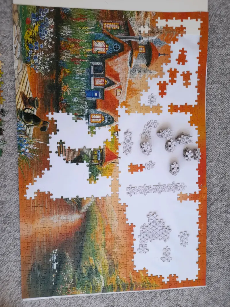 Set de puzzles Jigsaw de 1000 piezas - 3