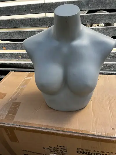 Maniquíes de exhibición para ropa - miniatura 1