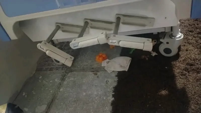Cama clínica ajustable con barandas - 3