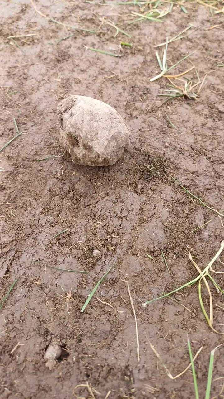 Piedra - 1