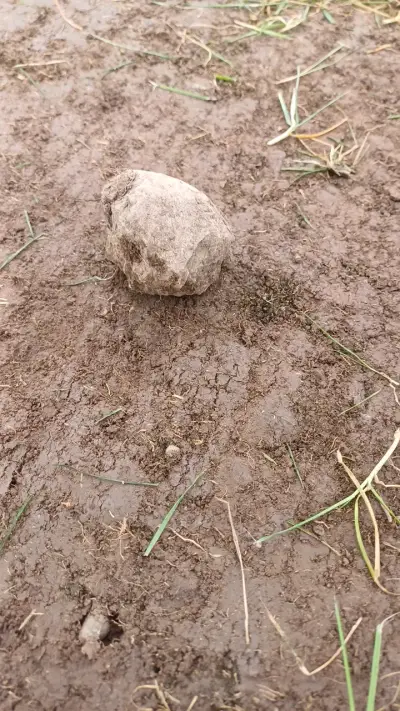 Piedra - miniatura 1