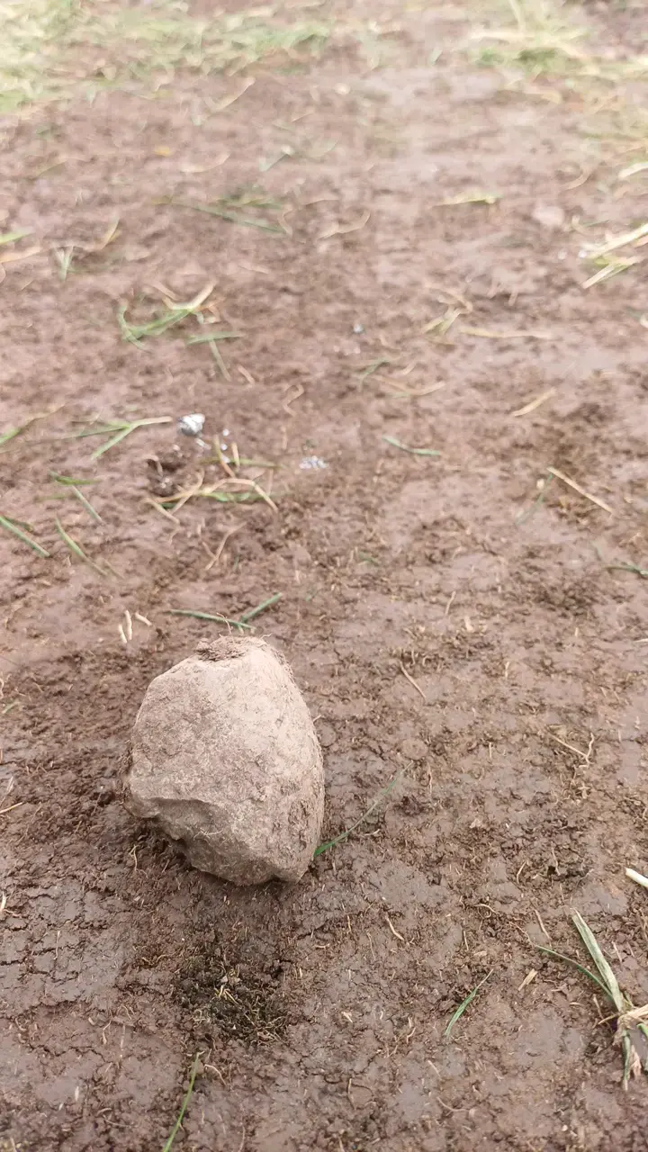 Piedra - 2