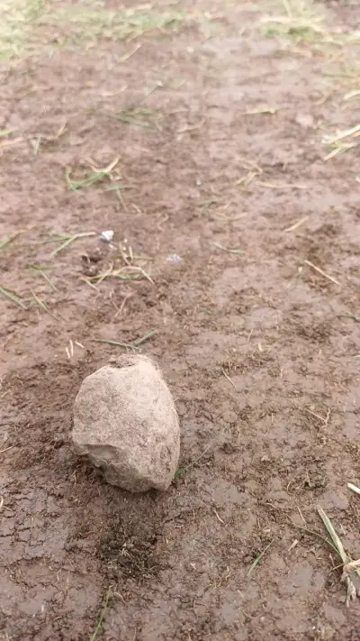 Piedra - miniatura 2