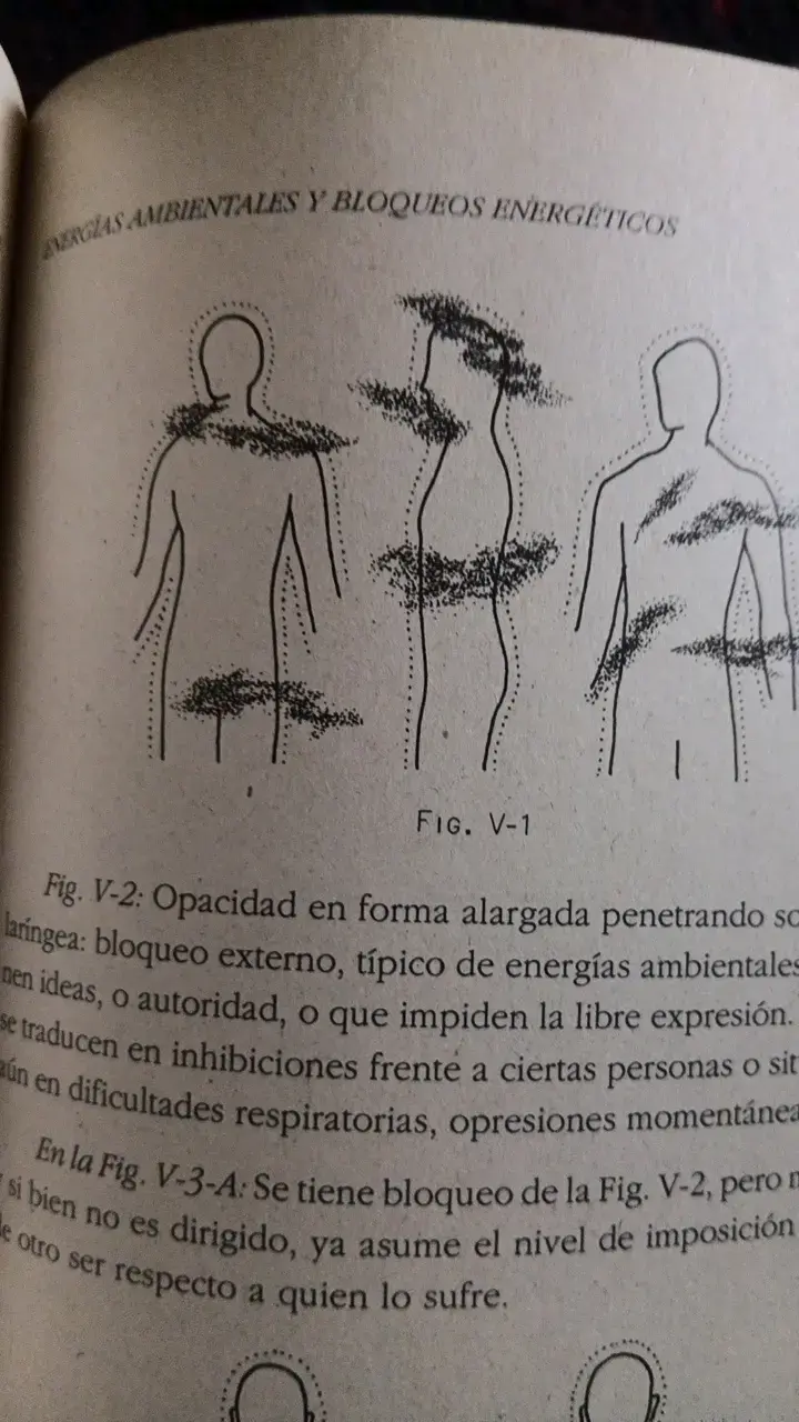 Libro Biopsico Energética Tomo I - 4