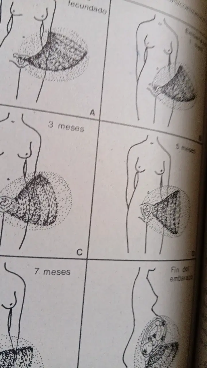 Libro Biopsico Energética Tomo I - 5