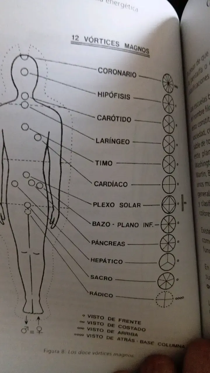 Libro Anatomía Energética de Livio J. Vinardi - 4