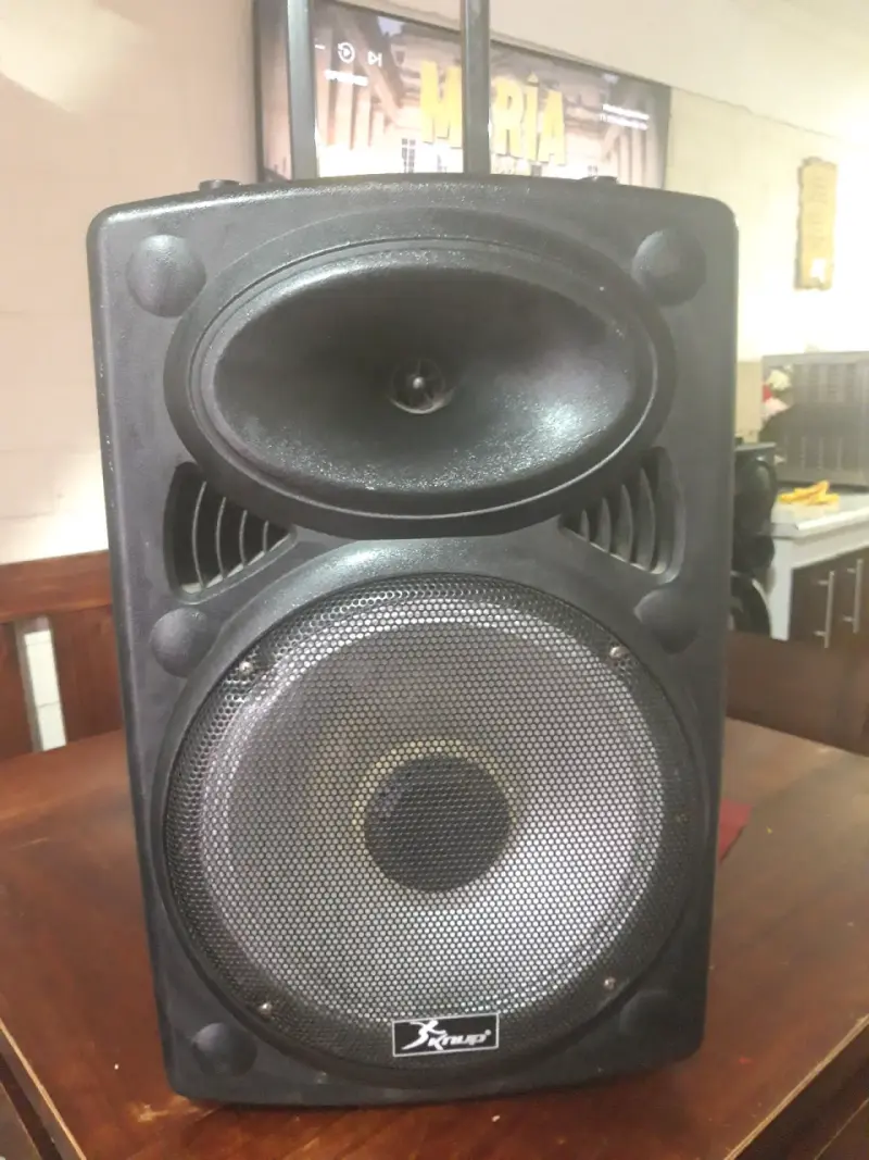 Parlante portátil con woofer y tweeter - 1