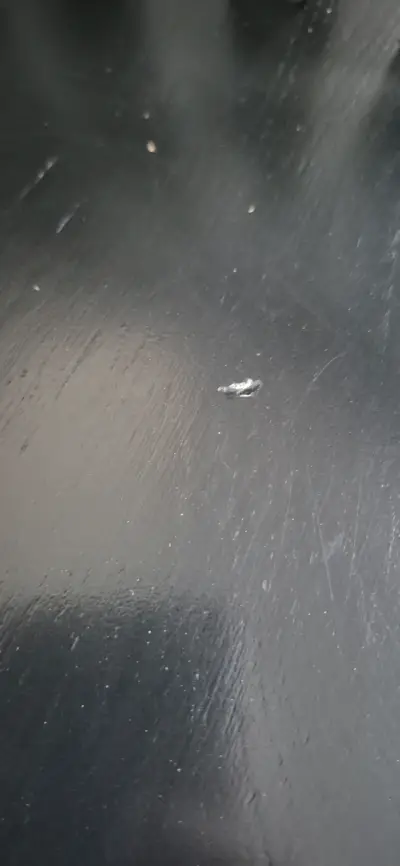 Par de sillas negras de madera con respaldo curvo - miniatura 4
