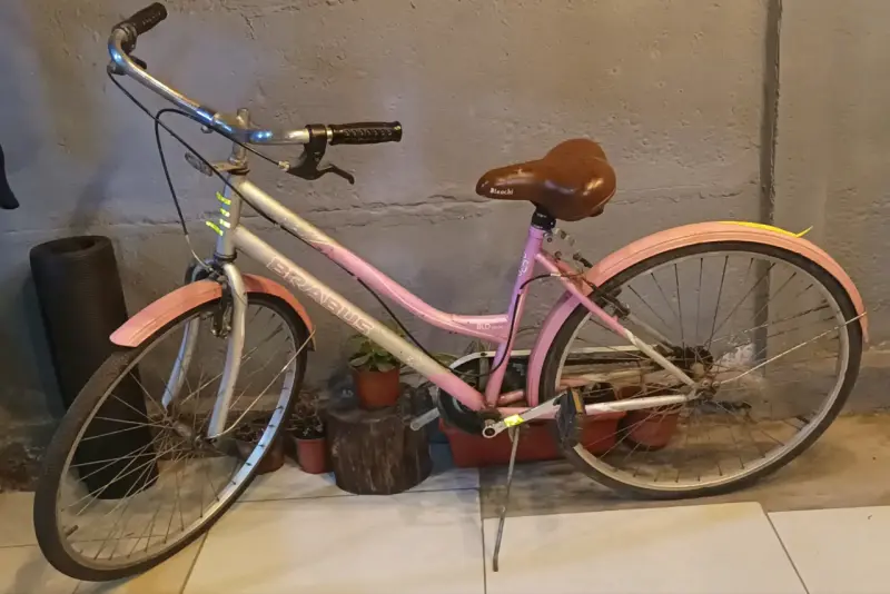 Bicicleta Brabus vintage rosada para mujer