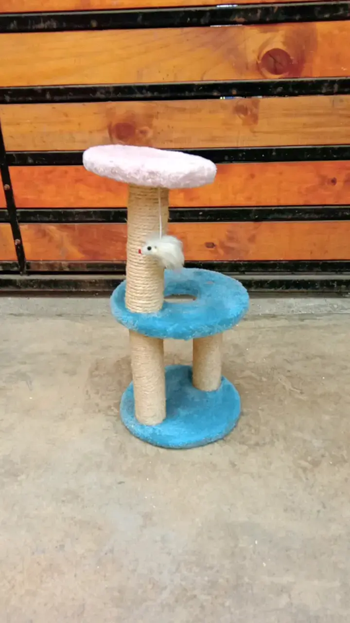 Árbol rascador para gatos con juguete colgante