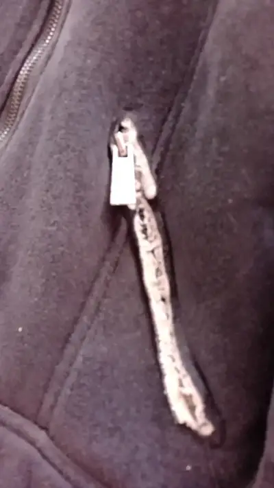 Chaqueta achiporrada negra con cierre talla M - miniatura 3