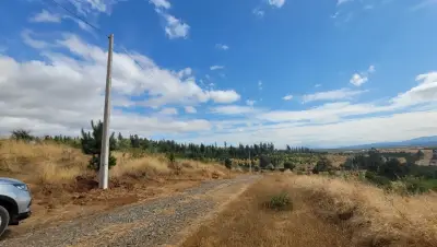 Chillán | Terreno 5.000 m2 Camino a San Nicolás - miniatura 3