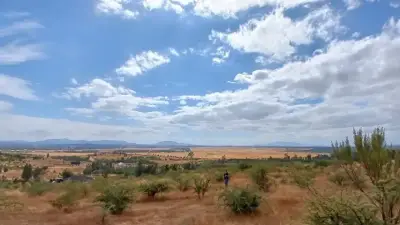 Chillán | Terreno 5.000 m2 Camino a San Nicolás - miniatura 4