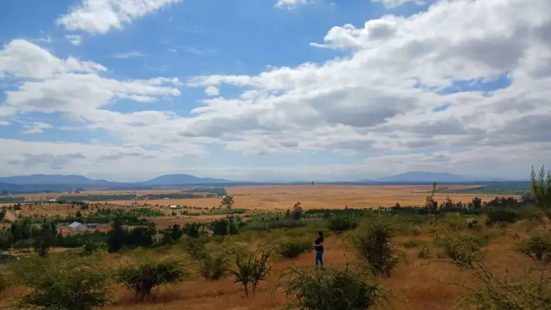 Chillán | Terreno 5.000 m2 Camino a San Nicolás - 5